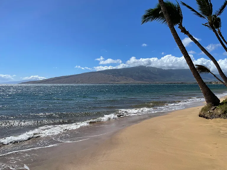 Beach in front of Kai Makani (north view)