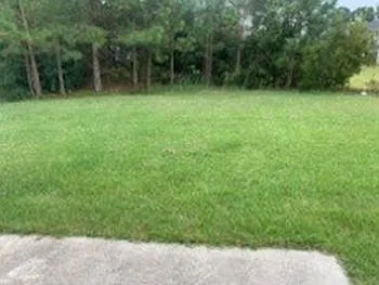 750 Pinewood Dr — Photo 10