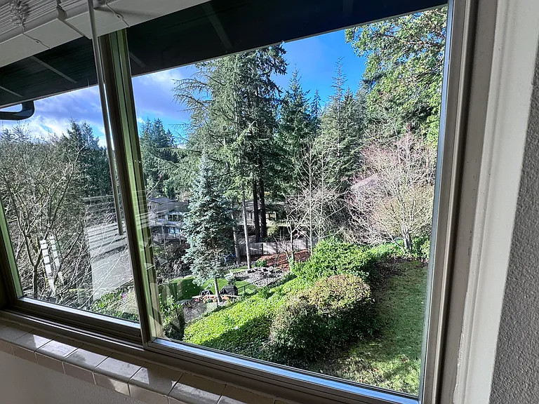 view to the backyard