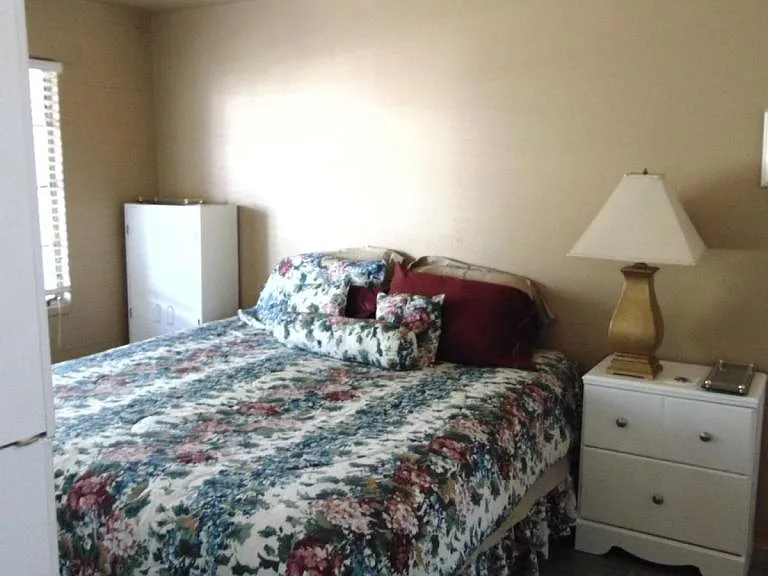 445 S Paseo Sarta #B — Photo 10