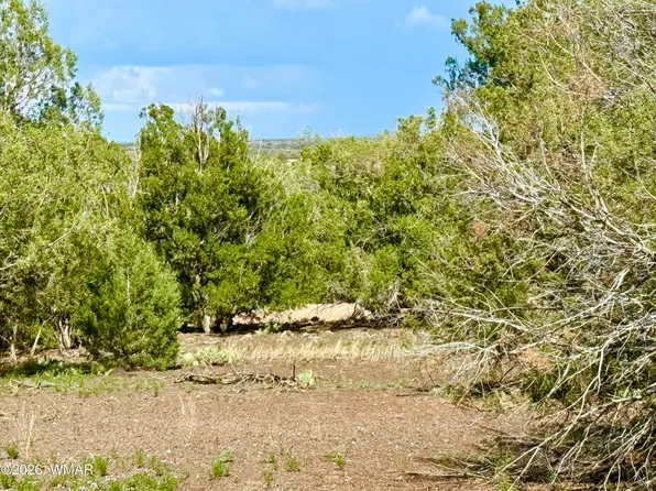 8322 Navajo Dr, Show Low, AZ 85901