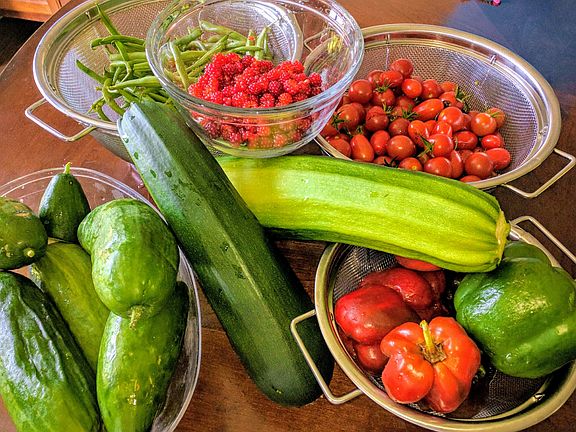 vegetable harvest 7/18