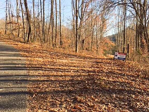 2nd image of 3264 Martin Hollow Rd