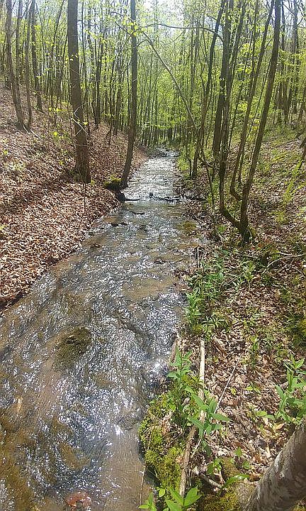 1st image of 1 Highway 69 Dr