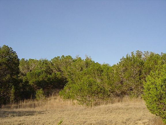 3rd image of 756 Appaloosa Dr