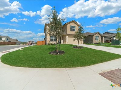 136 Scarlet Macaw, San Antonio, TX, 78253