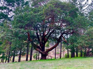 6160 Lower Grave Creek Rd, Wolf Creek, OR 97497