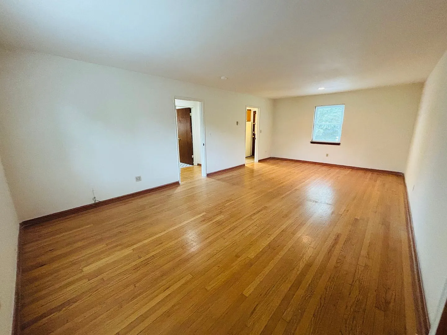 043AB - 408 Harrell Street M — Photo 4
