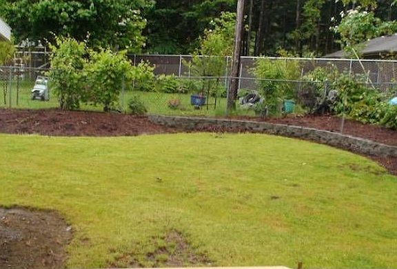 Large Backyard