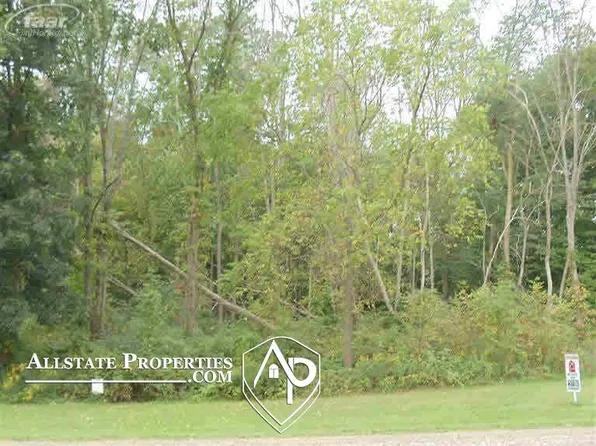 2296 S State Rd, Davison, MI 48423