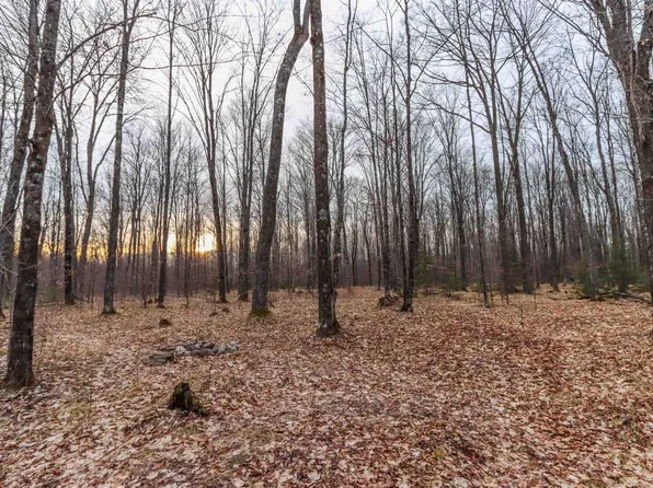 Parcel 14 summit woods Lane, Gleason, WI 54435