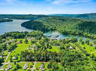 Charlotte Dr, Spring City, TN 37381