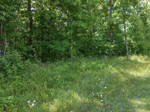 1st image of Spruce Creek Dr