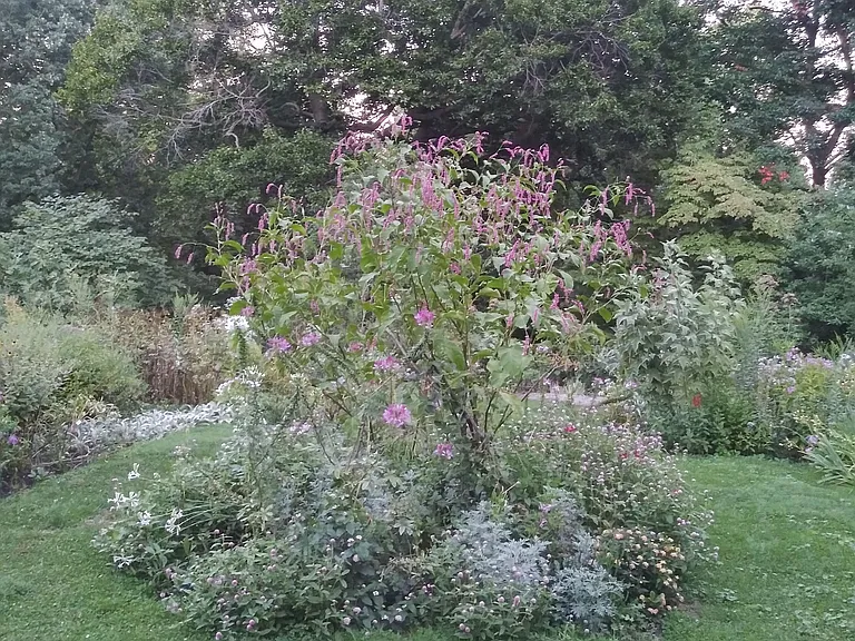 Bartram's Garden