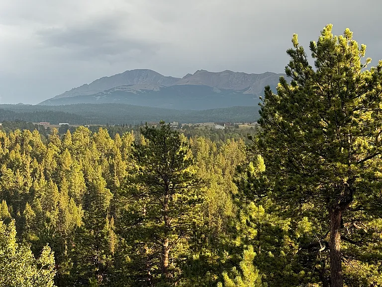 Aspen Dr — Photo 30