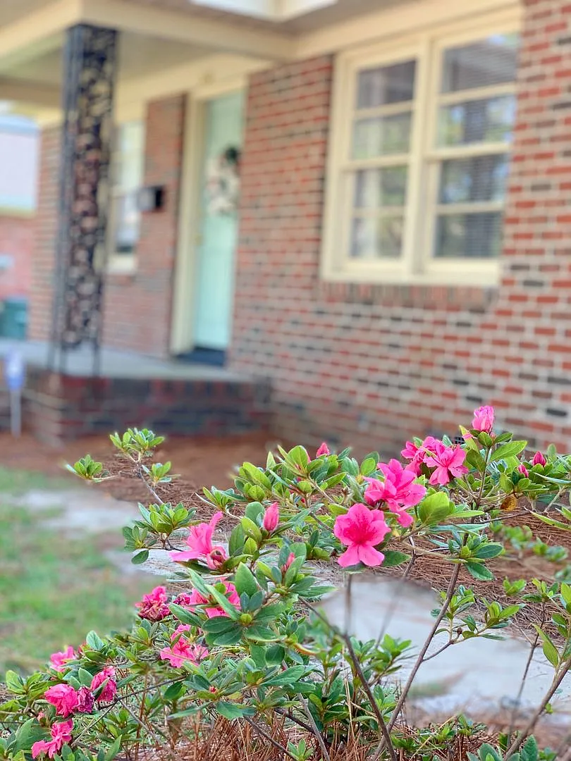110 Stancil Dr. — Photo 2