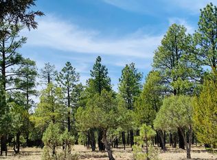 2874 Timber Ridge Cir, Happy Jack, AZ 86024