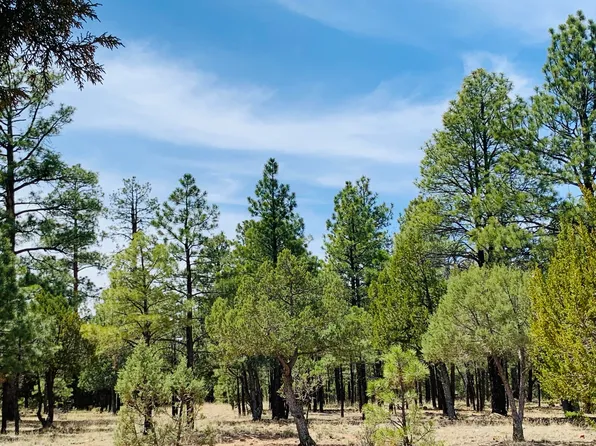 2874 Timber Ridge Cir, Happy Jack, AZ 86024