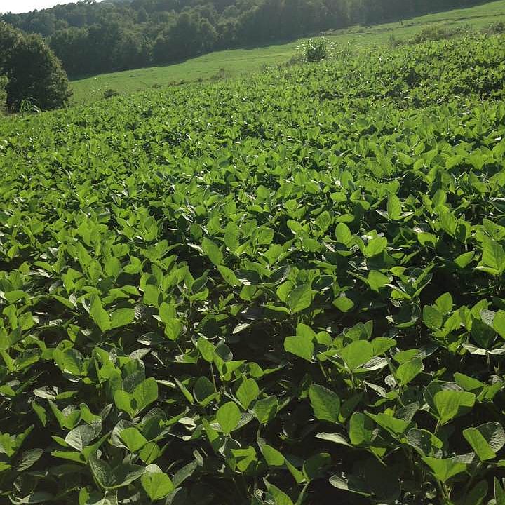 2nd image of 46 Acre River Farm