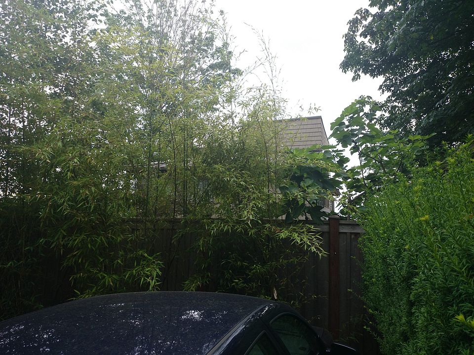 1st image of 174 Lake Dell Ave