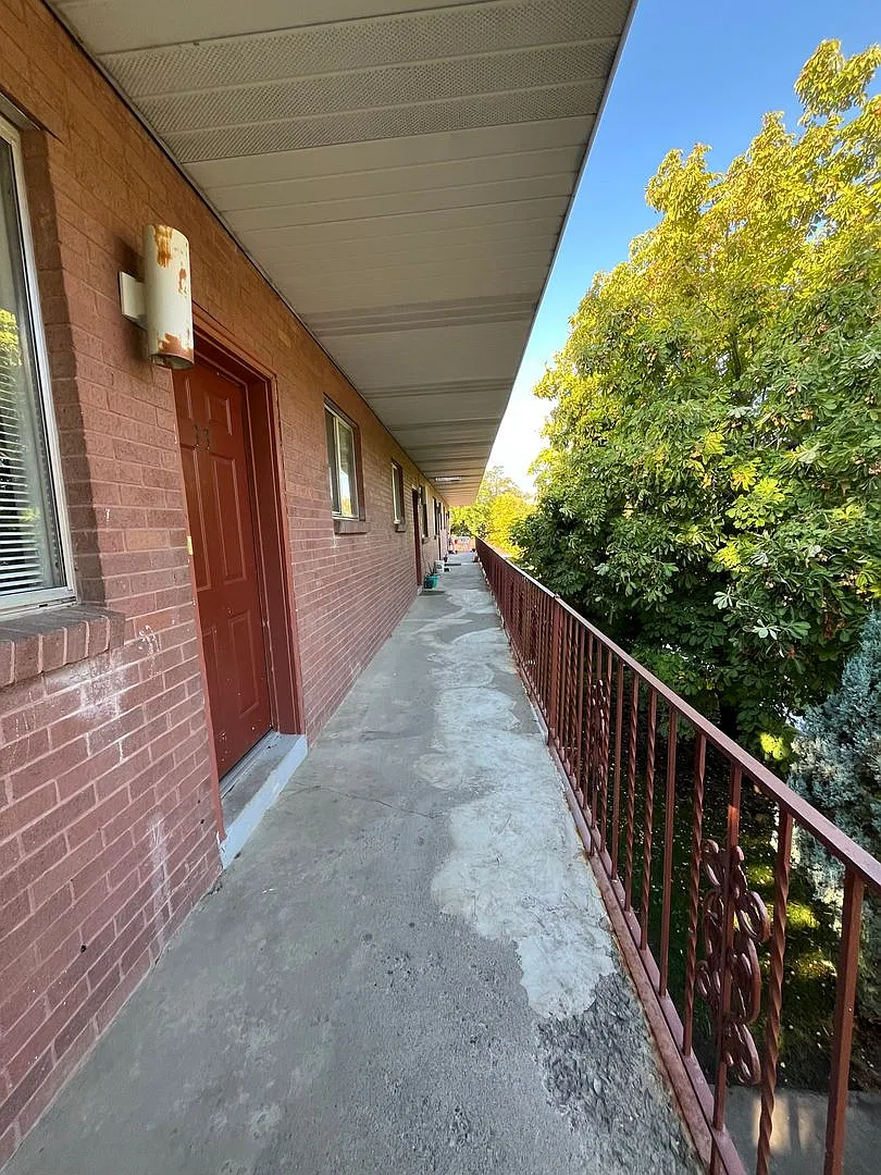 Binning's 18-Plex — Photo 2