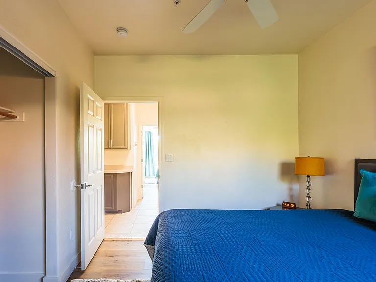 Dusty Rose Dr — Photo 20