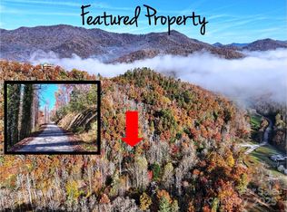 0 Brushy Fork Rd, Sylva, NC 28779