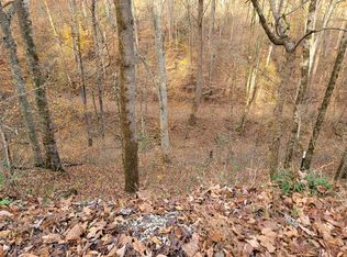 56B Holiday Haven Rd, Smithville, TN 37166