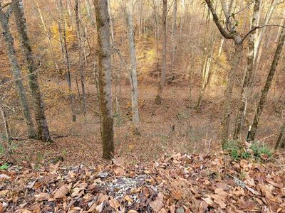 56B Holiday Haven Rd, Smithville, TN, 37166