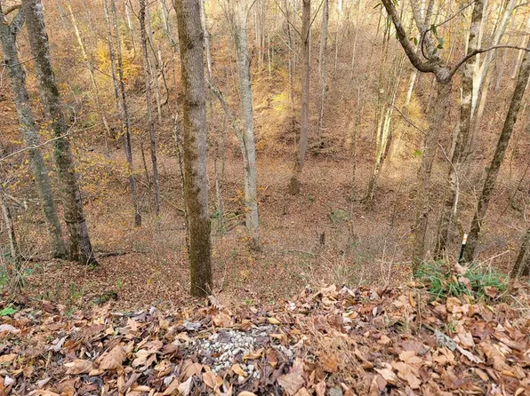 56B Holiday Haven Rd, Smithville, TN 37166