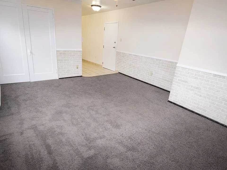 Carpeted Studio