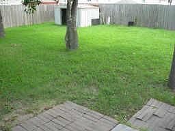 4th image of 14914 Gladewick Dr