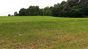 2nd image of 22283 Highway 49 S