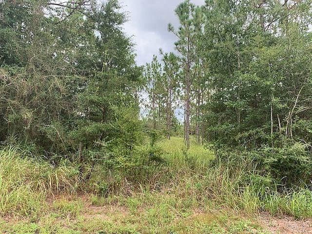 2nd image of 0000 American Farms Rd