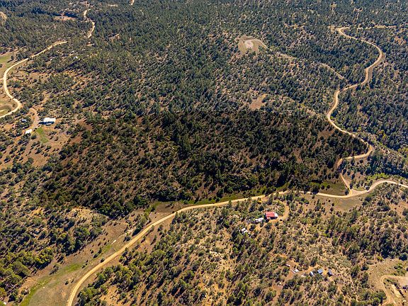 2nd image of Pine Needles Rd #1091