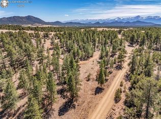 69 Coyote Run, Cotopaxi, CO 81223