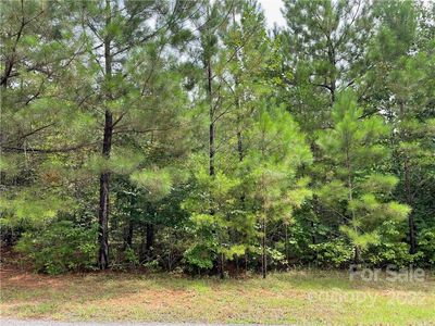 0 Hope Dr LOT 19, Rutherfordton, NC, 28139