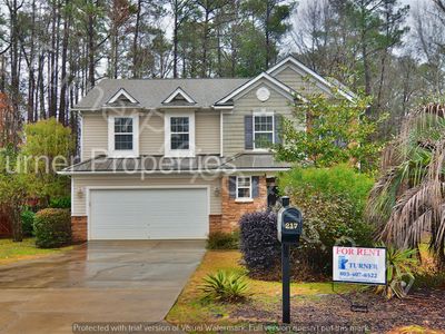 217 Underwood Ct, Lexington, SC, 29072