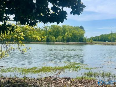 81 Shoreline Cir, Guntersville, AL, 35976