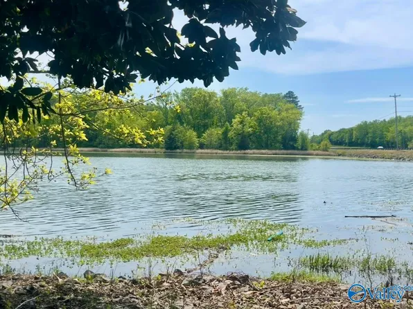 81 Shoreline Cir, Guntersville, AL 35976