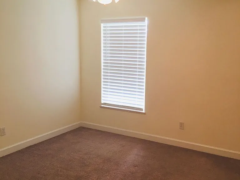 310 Shady Ln — Photo 53