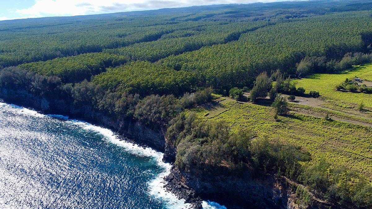 433804 Wiliko Rd, Paauilo, HI 96776 MLS 705110 Zillow
