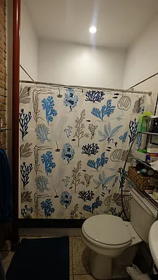 Rented by Skyward | media 17