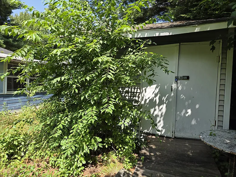 shed