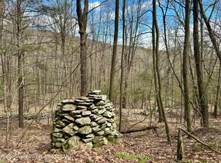 8 Jonet Ln, Bearsville, NY 12409