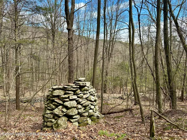 0 Lot Jonet Lane, Bearsville, NY 12409