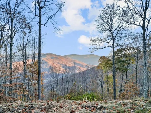 1391 Daydream Rdg #61, Swannanoa, NC 28778