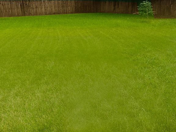 3rd image of 215 Saint James Dr