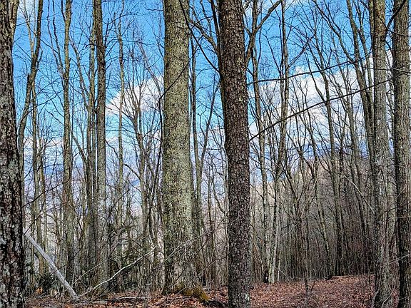 4th image of 49 Hazel Top Section Teaberry Ridge Rd