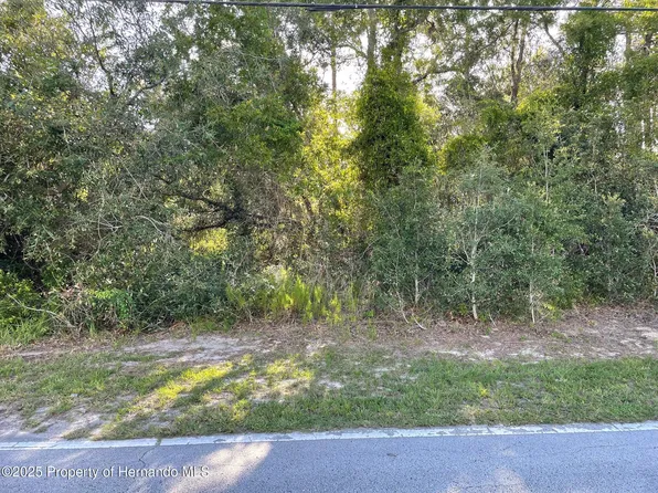 8217 Nightingale Rd, Weeki Wachee, FL 34613